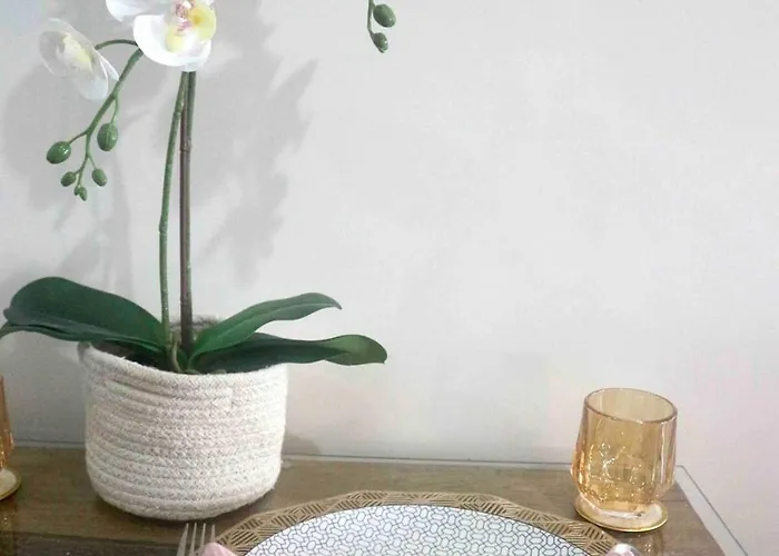 Aparthotel Boho Glam At Center